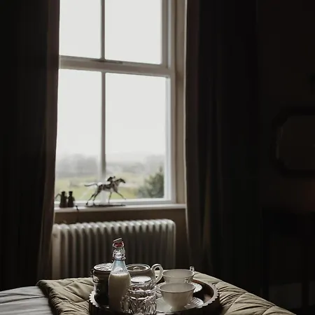 Hotel Old Grammar 3*