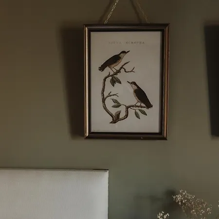 Old Grammar Отель 3*